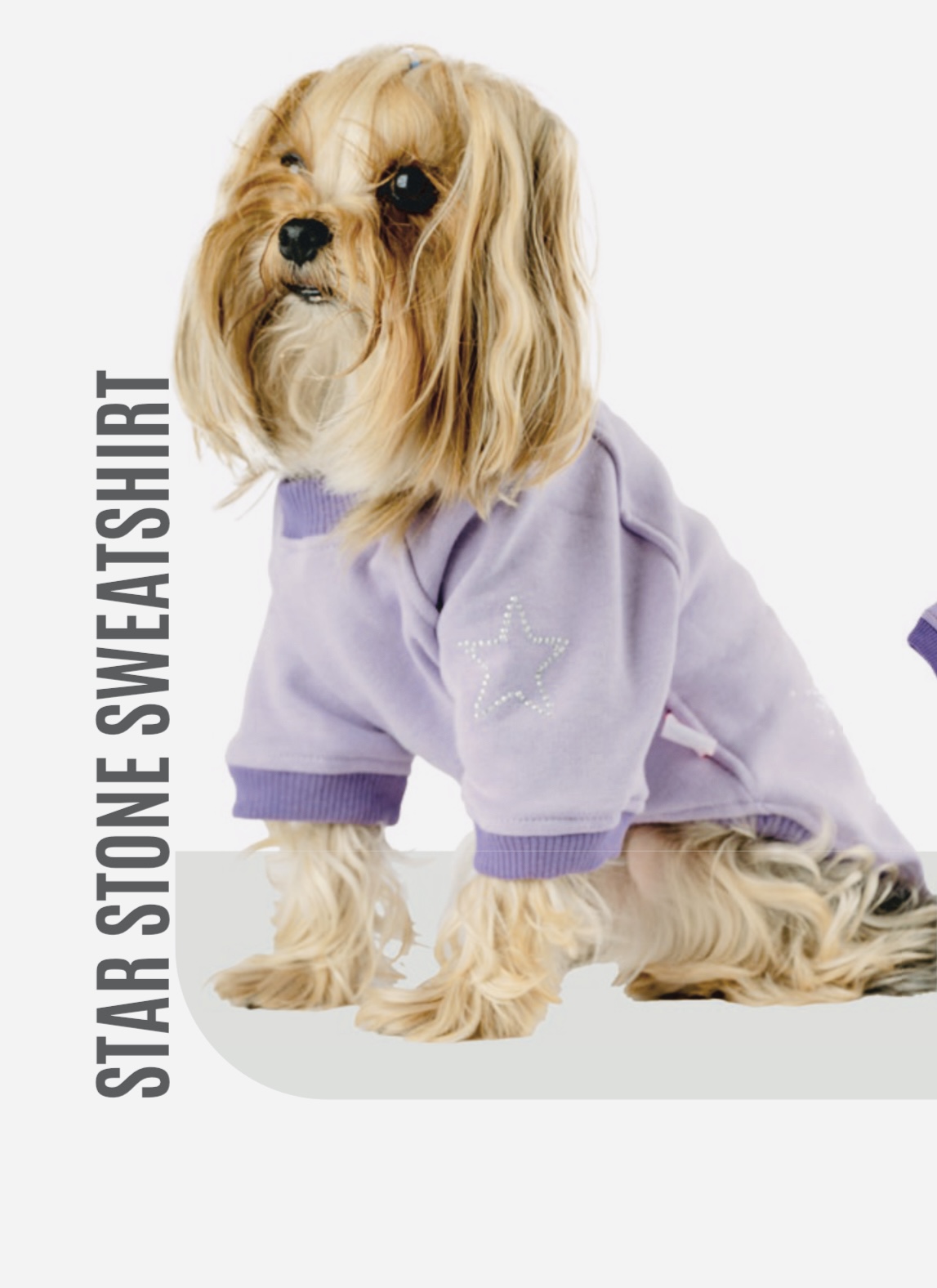 YILDIZ TAŞLI SWEATSHIRT